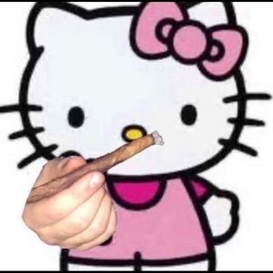 Meet your Posher, Moni